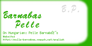 barnabas pelle business card